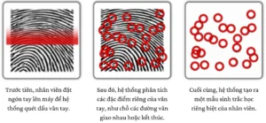 quy trình lấy dấu vân tay máy chấm công vân tay