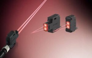 đặc điểm nổi bật