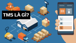 tms là gì